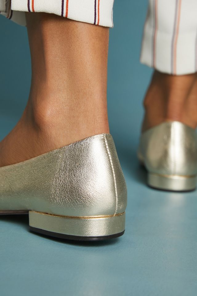 Seychelles Tour Guide Flats #2