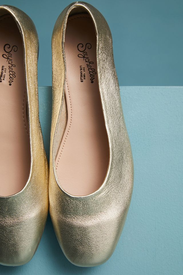 Seychelles Tour Guide Flats #3
