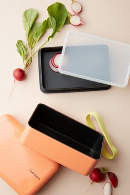 Takenaka Bento Box