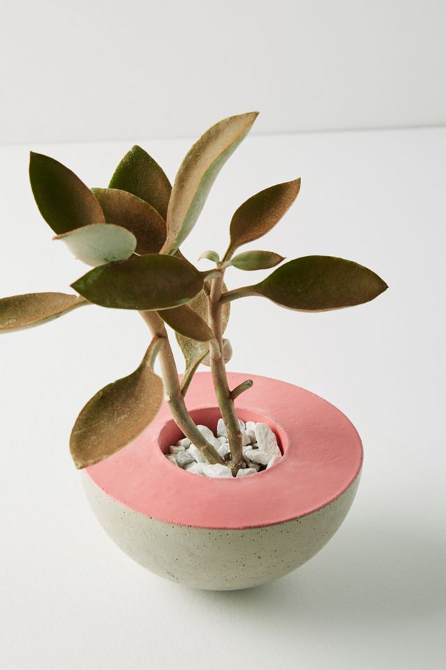 Contrast Pot #1
