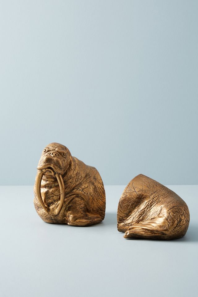 Walrus Bookends #1