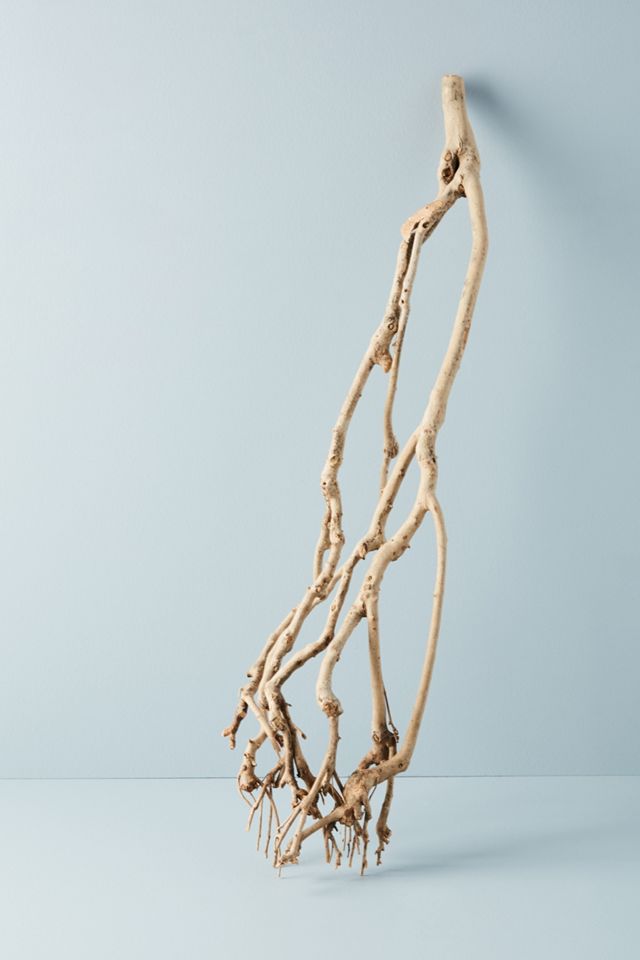 Driftwood Decor #1
