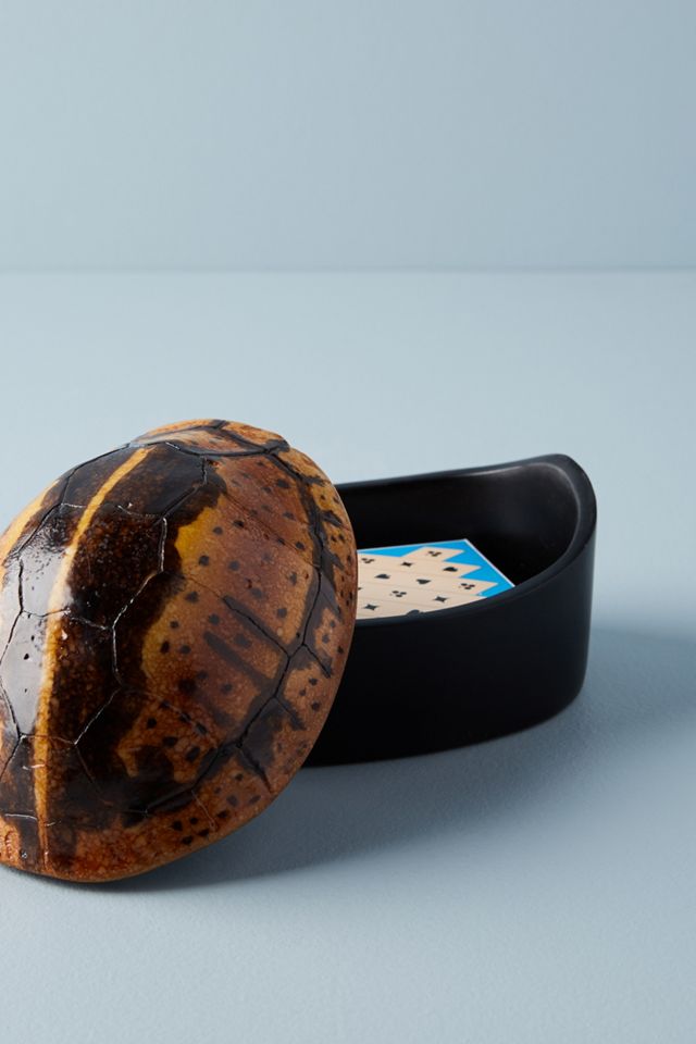 Turtle Canister #1