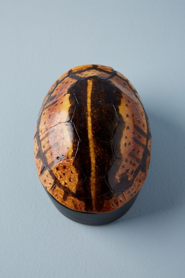 Turtle Canister #2