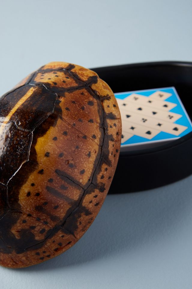 Turtle Canister #3