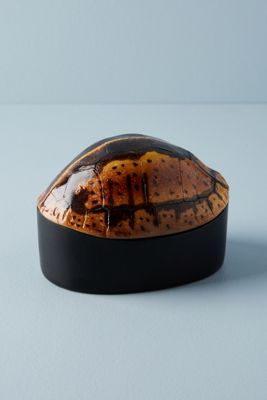 Turtle Canister