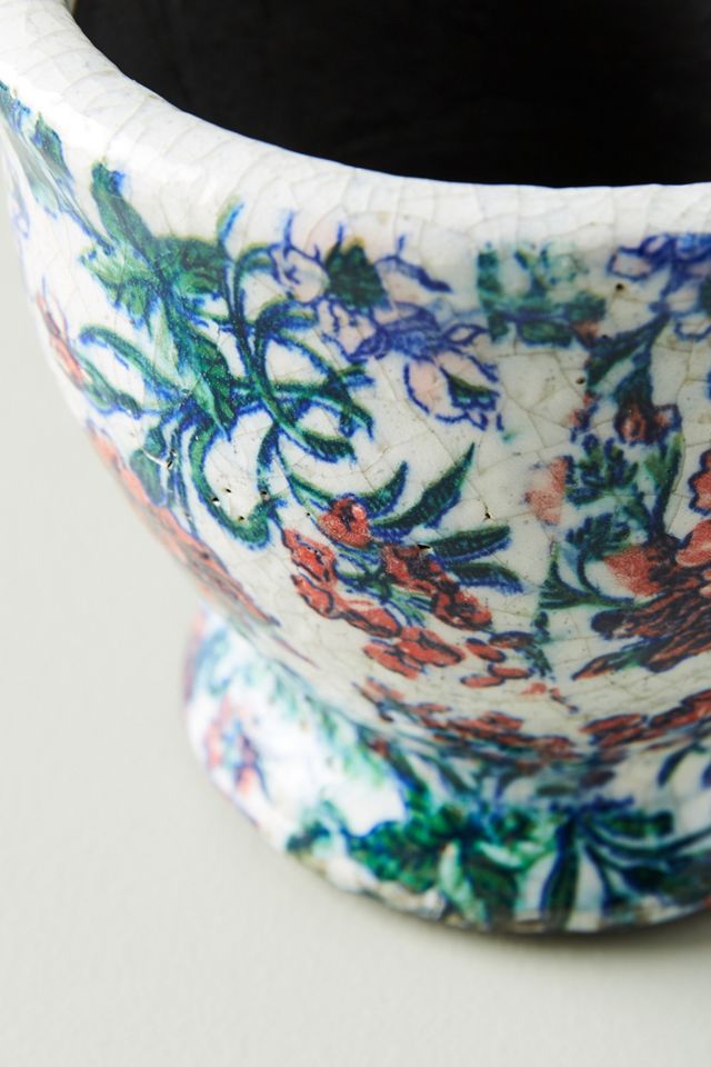 Amaryllis Pot #2