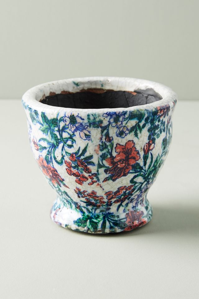 Amaryllis Pot #1