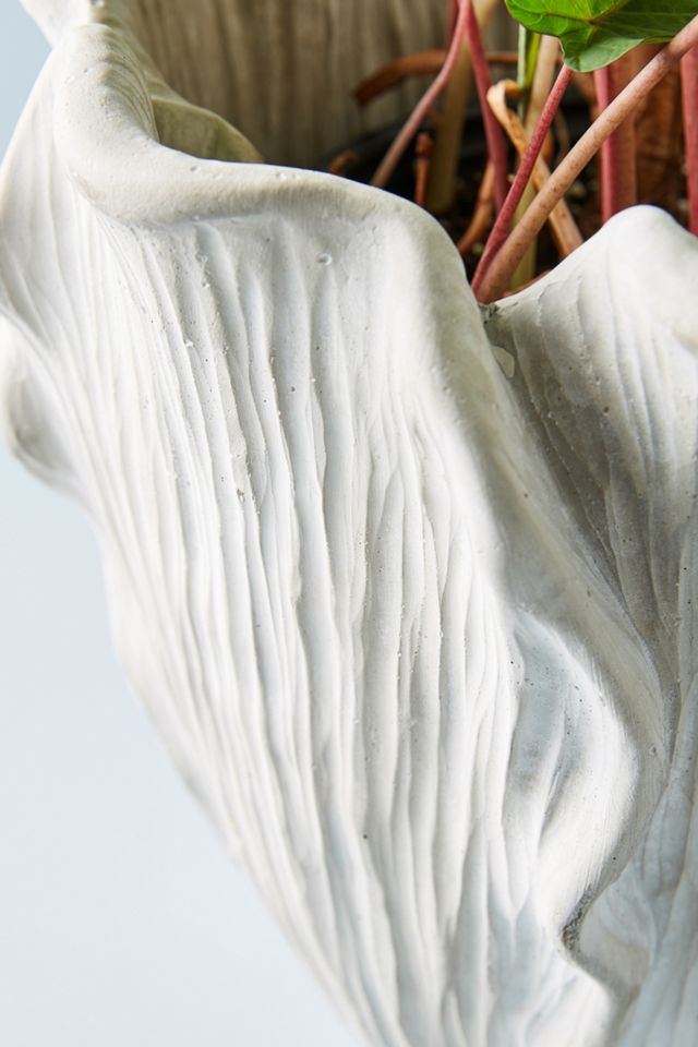 Cement Tulip Pot #9