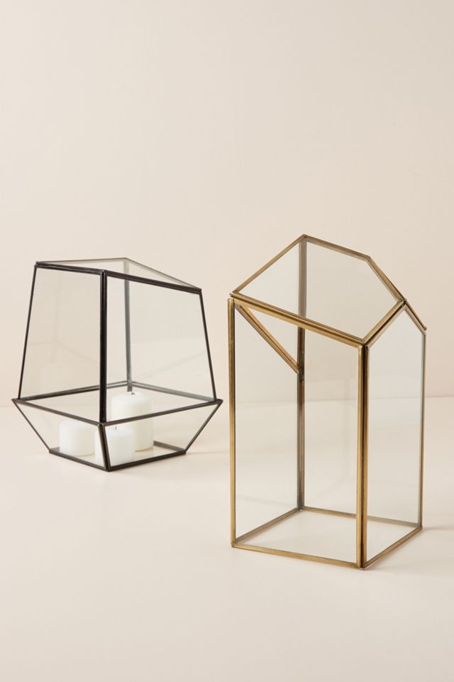 Glass Terrarium #1