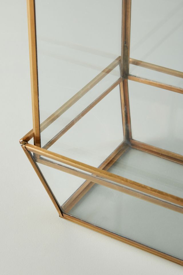 Glass Terrarium #3