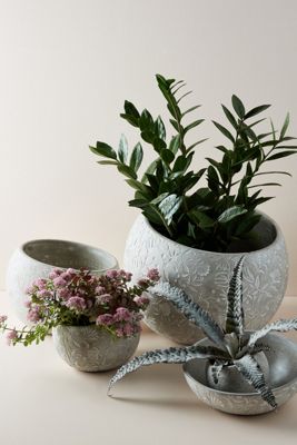 Naomi Pot