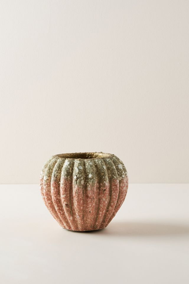 Ariel Pot #1