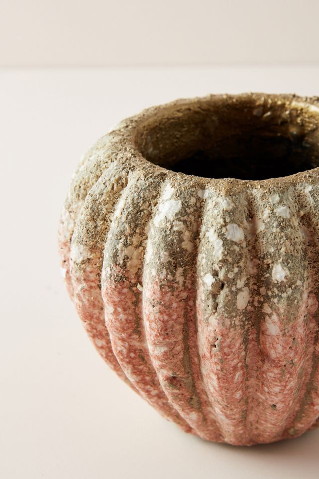 Ariel Pot #2