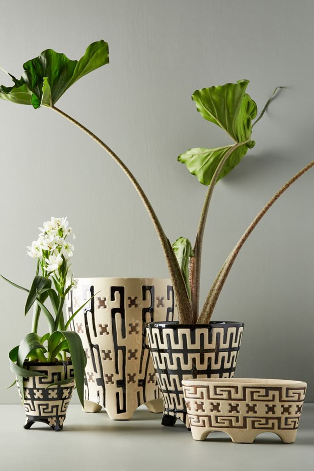Celine Pot #1