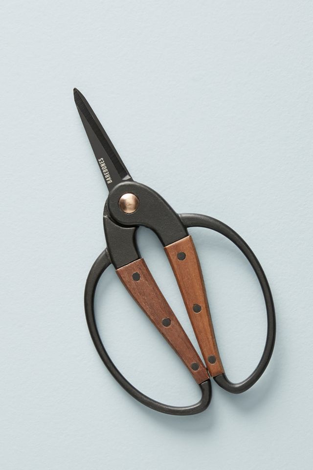 Essential Gardening Tools #3