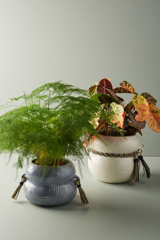 Lilah Pot #1