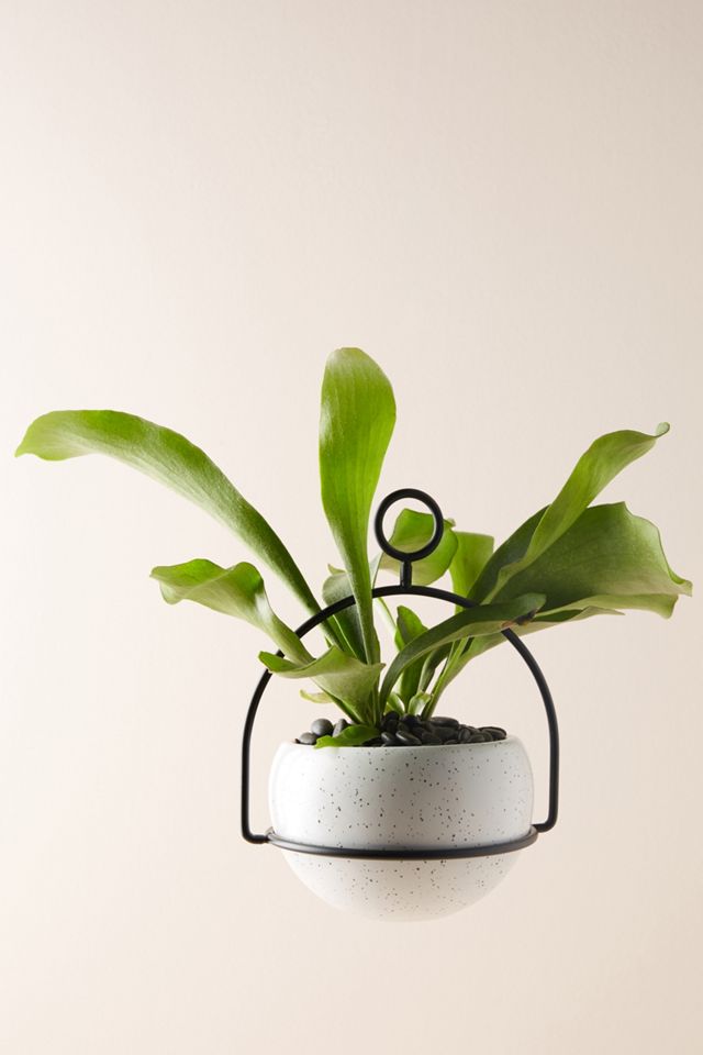 Speckled Ceramic Table Planter #1