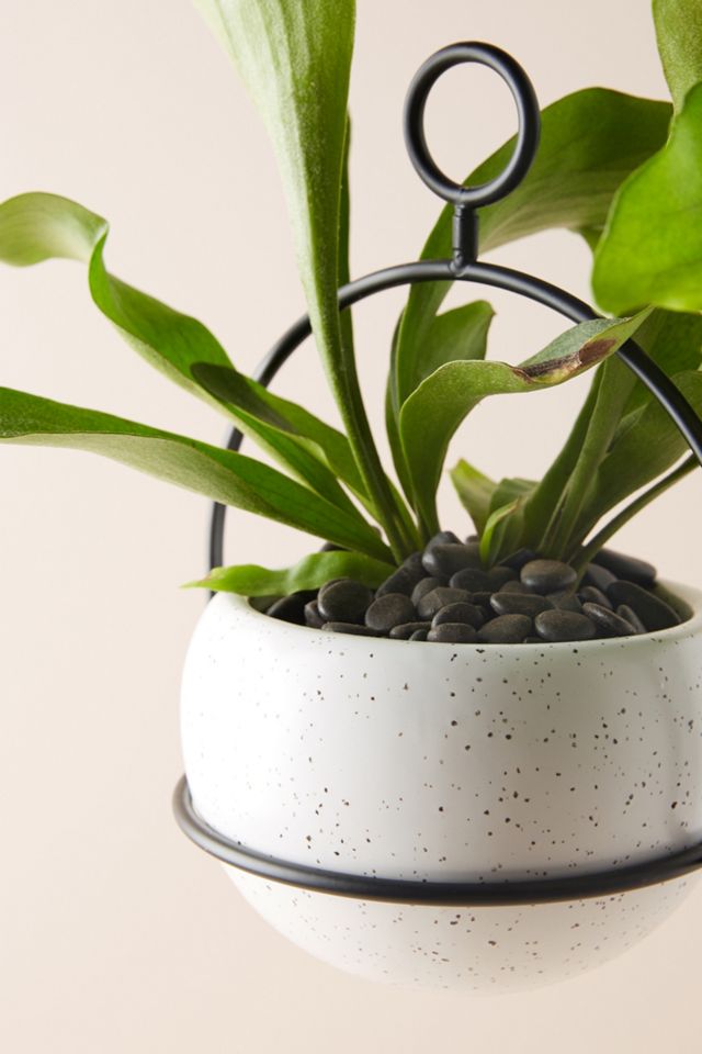Speckled Ceramic Table Planter #2