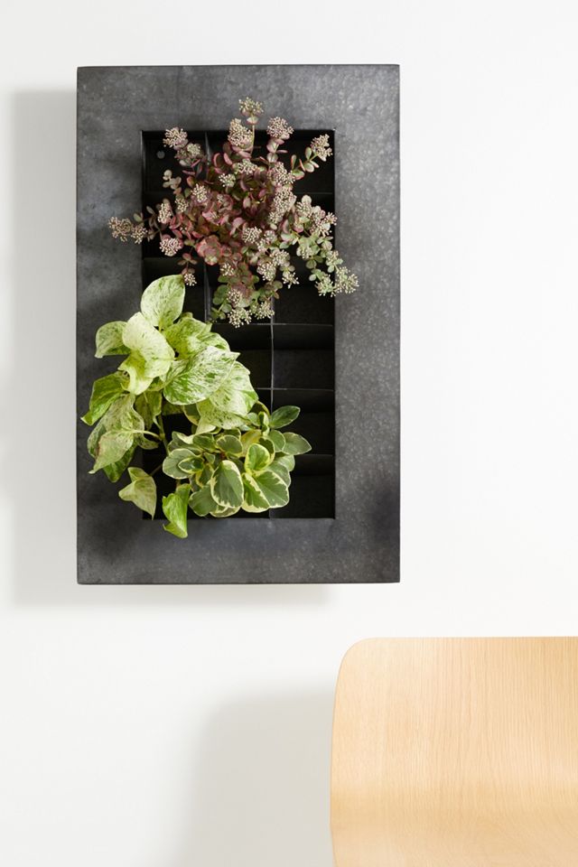 Zinc Wall Planter #3