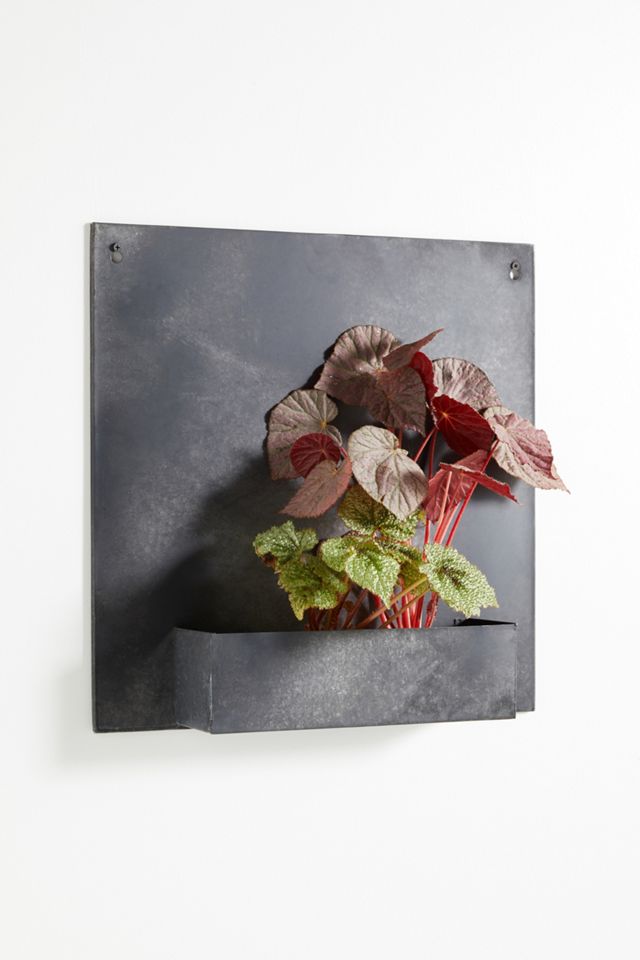 Zinc Wall Planter #6