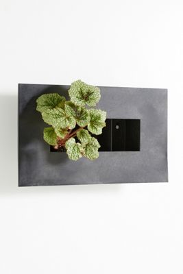 Zinc Wall Planter