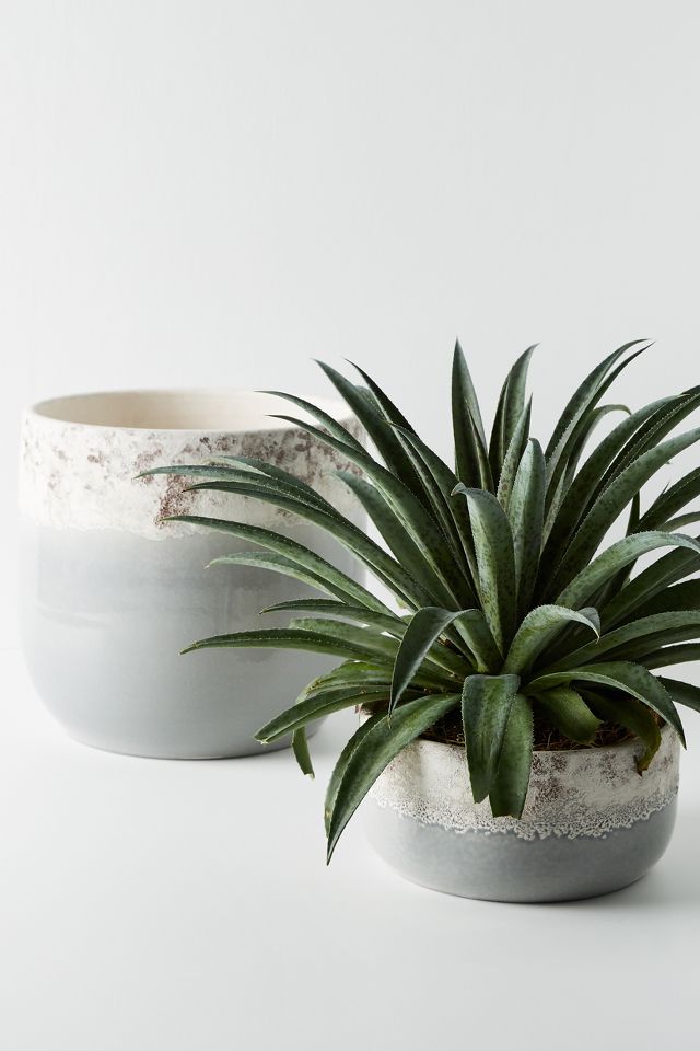 Sea Foam Pot