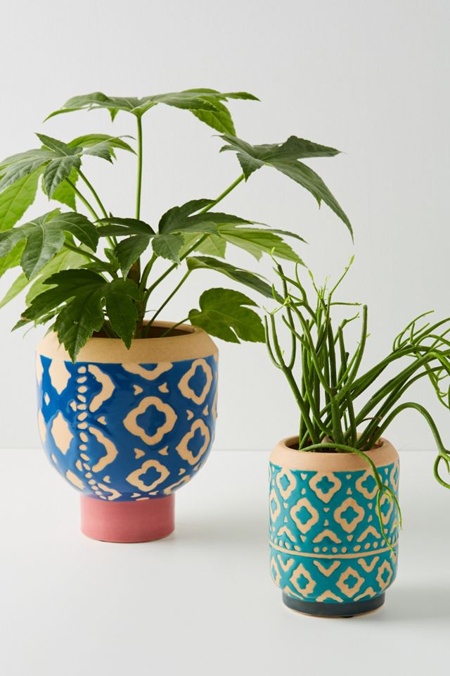 Ena Pot #1
