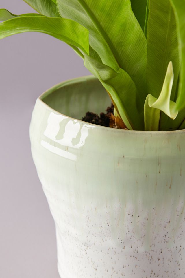Lacie Pot #2
