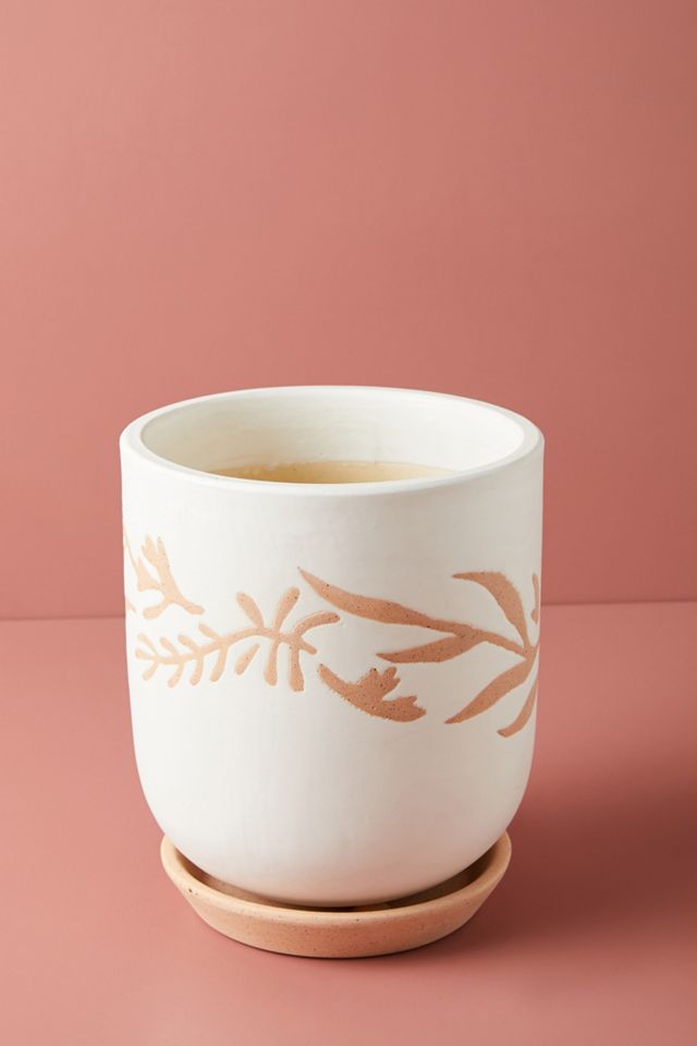 Gemma Herb Pot #1