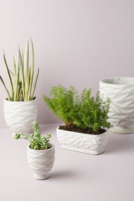 Marisa Swirled Planter