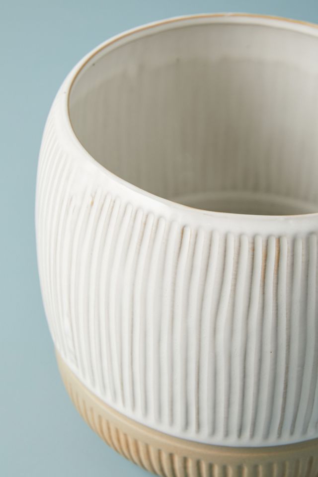 Zander Pot #2