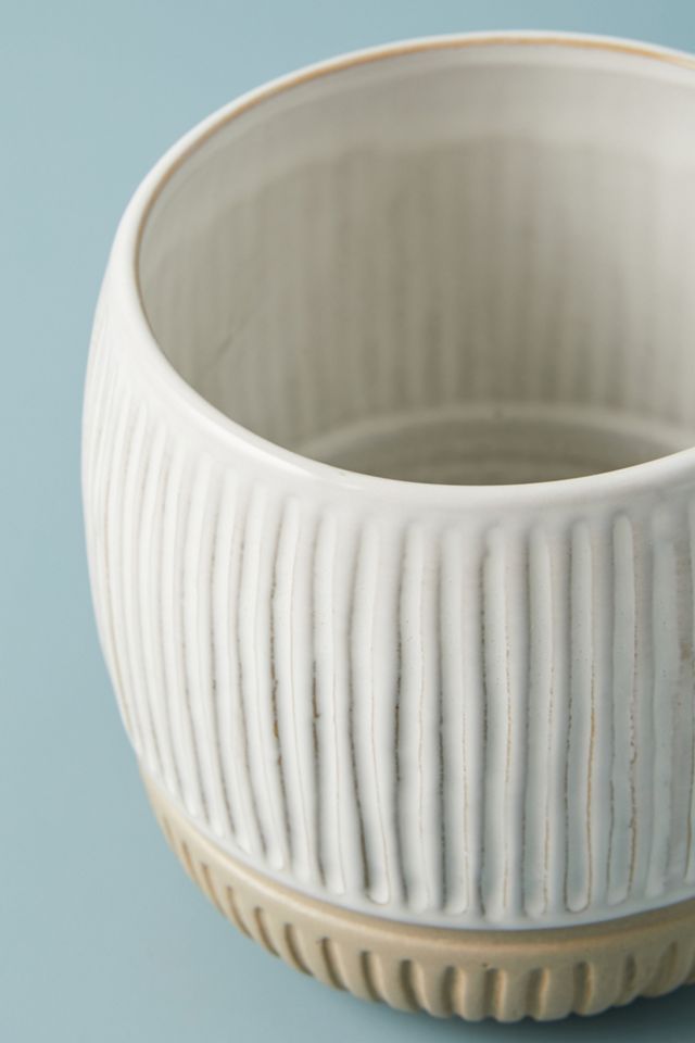 Zander Pot #4