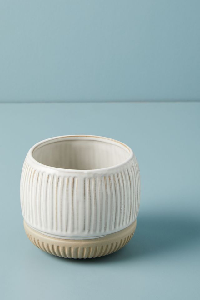 Zander Pot #5
