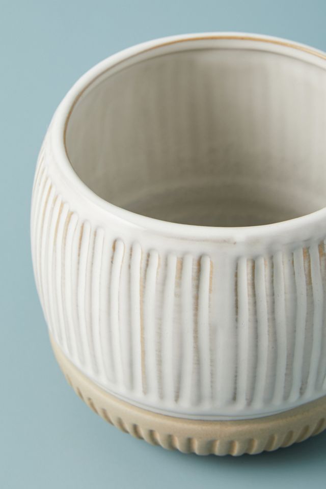 Zander Pot #6