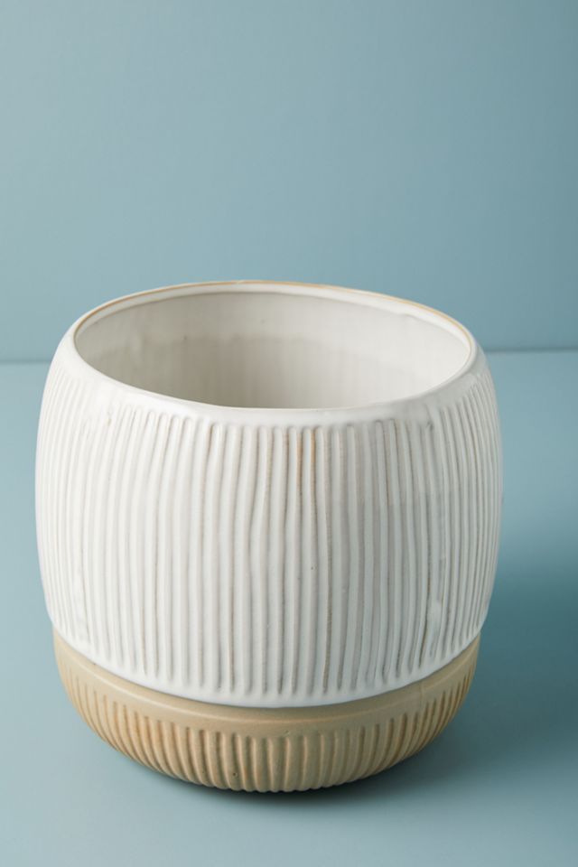 Zander Pot #1