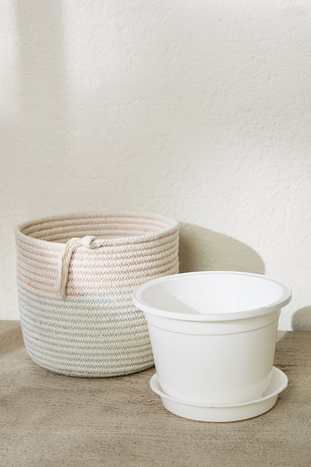 Dana Planter #3