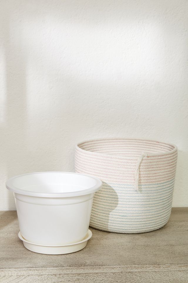 Dana Planter #6