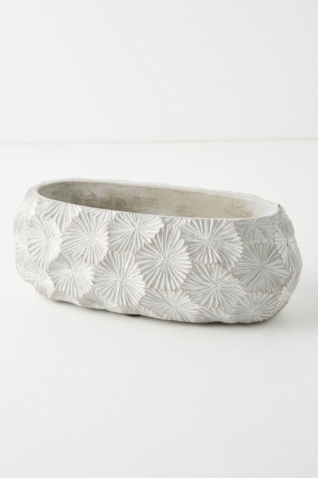 Charente Pot #5