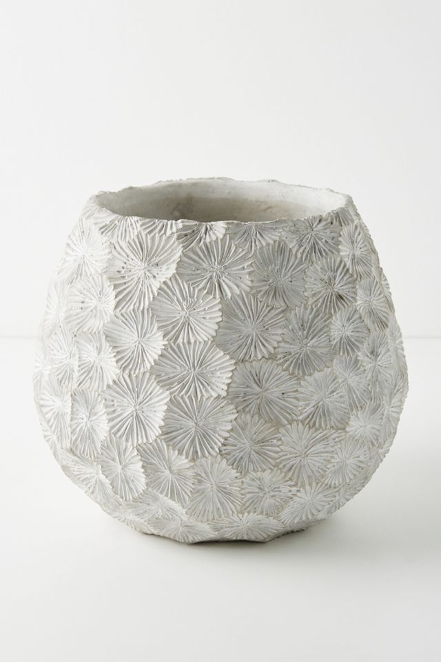 Charente Pot #1