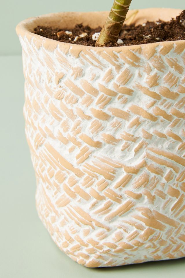 Blakely Pot #2