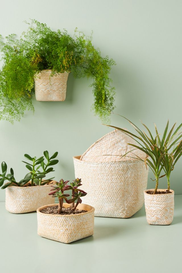 Blakely Pot
