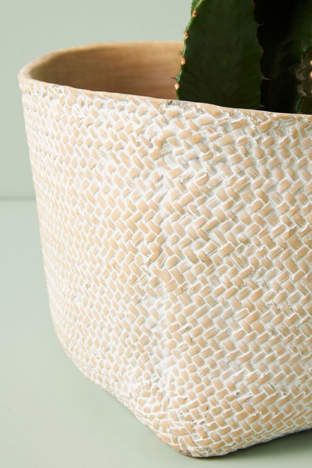 Blakely Pot #5