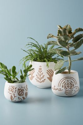 Gaia Pot