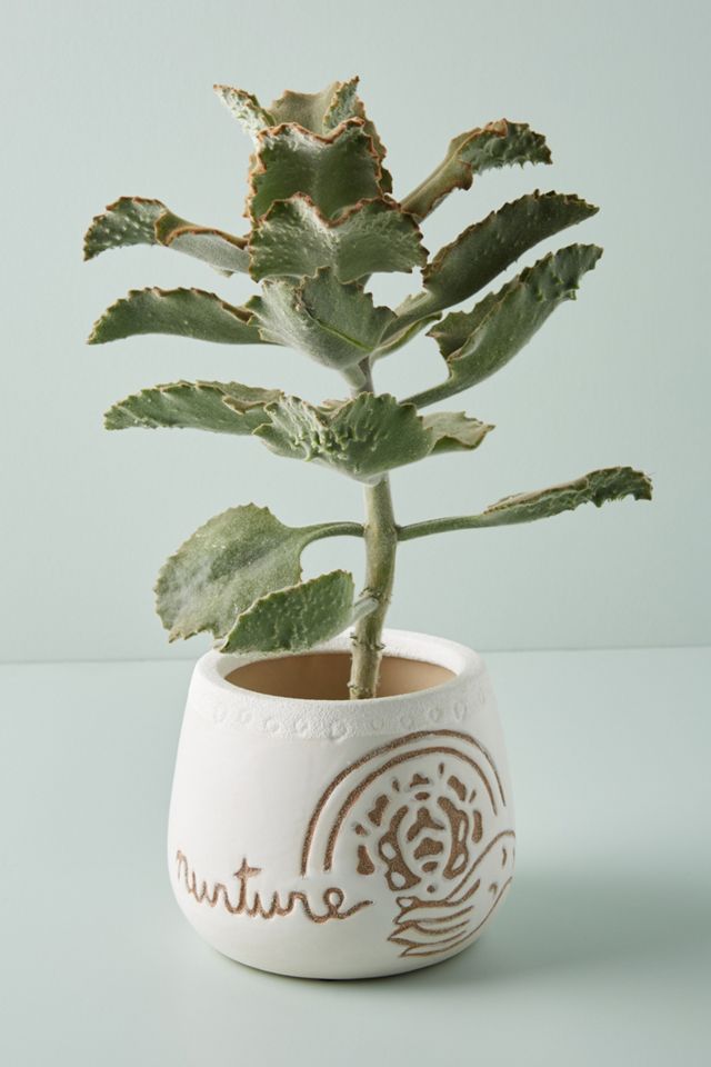 Gaia Pot #3