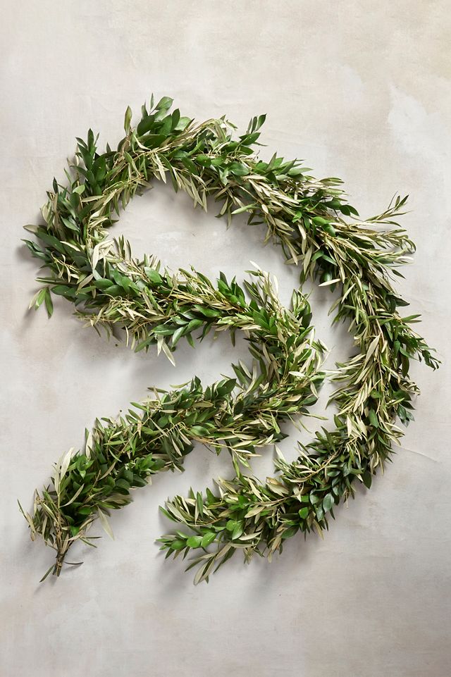 Fresh Ruscus + Olive Leaf Garland #2