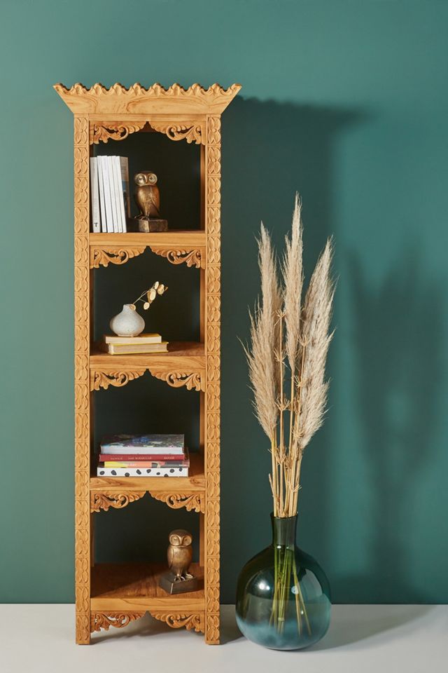 Adara Bookcase #1