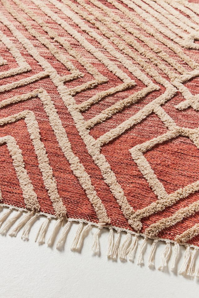 Tufted Ando Indoor/Outdoor Rug #2