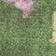 Green Pattern