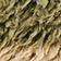 Green Pattern
